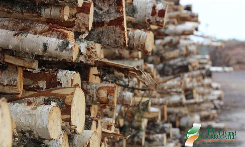 شرکت وِیرهاوزر (Weyerhaeuser) خریدهایی به ارزش مجموعی ۴۵۹ میلیون دلار را به پایان رساند.