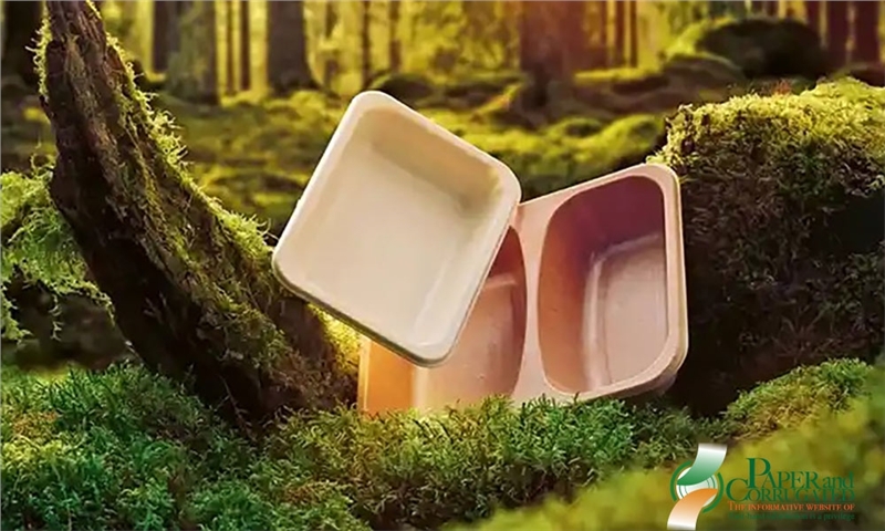 رترنروس (Rottneros) با تمرکز استراتژیک به چالش‌های بازار پاسخ می‌دهد