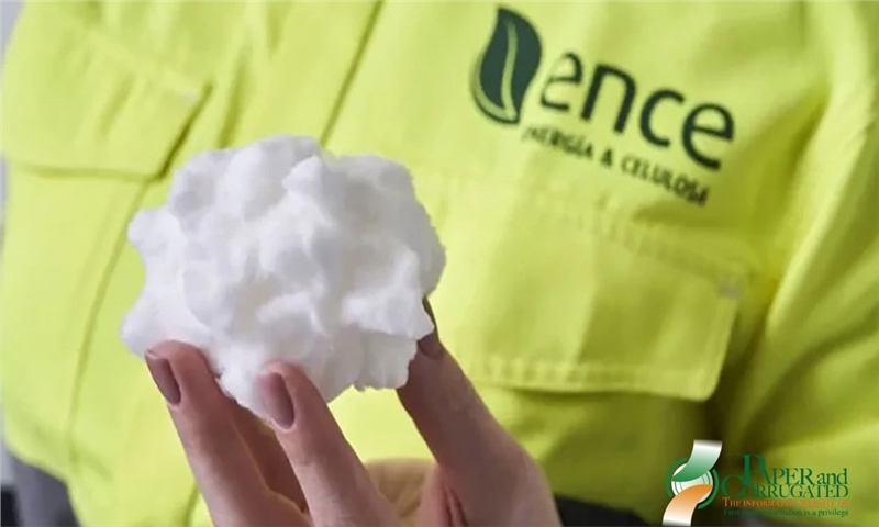 انسه (Ence) روند انتقال به چوب‌کاغذی‌های خاص و انرژی‌های تجدیدپذیر را تسریع می‌کند