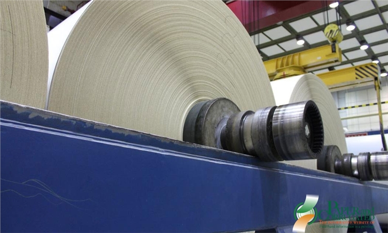 ضعف بازار خمیرکاغذ منجر به کاهش درآمدهای CMPC در سه‌ماهه سوم 2025 شد.