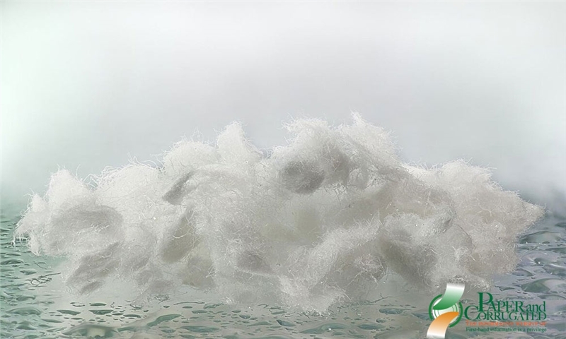 شرکت ان‌سی(Ence) خط تولید جدید پالپ فلاف(fluff pulp) را راه‌اندازی کرد.