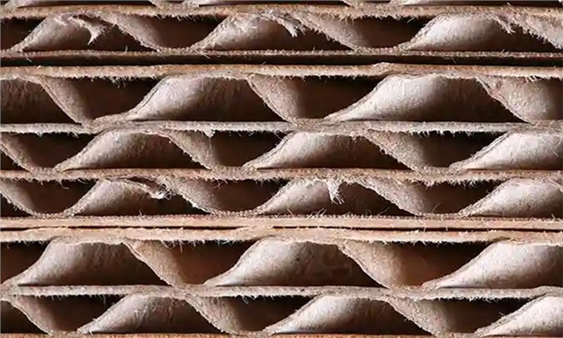 گروه پالم (Palm) بخش بسته‌بندی خود را با یک شرکت مشترک در جمهوری چک گسترش می‌دهد