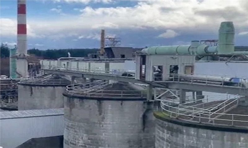 هزینه پنهان از دست دادن مهارت و تخصص در کارخانه‌های خمیر و کاغذ