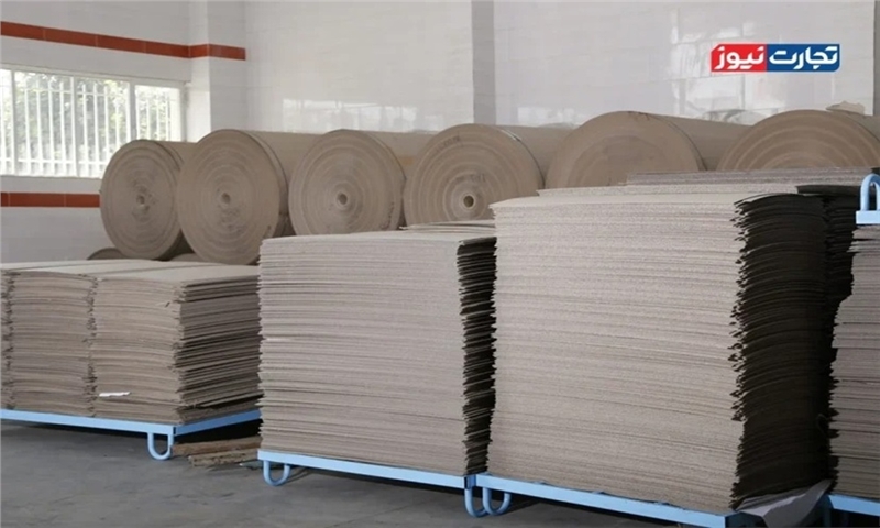 هزینه محدود کردن واردات کاغذ و مقوا را مردم می‌پردازند / خودکفایی کاغذ و مقوا معنا ندارد