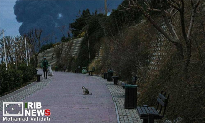 توصیه‌های وزارت بهداشت درباره باران‌های اسیدی و سمی