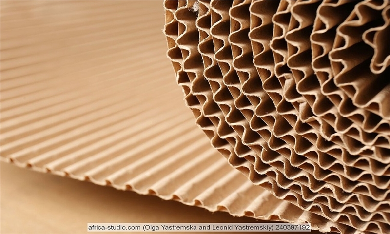 شرکت Grembox ساخت کارخانه جدید بسته‌بندی مقوا (Corrugated Board) را در لهستان آغاز کرد