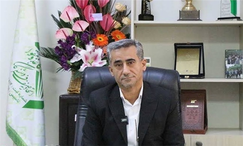 خودکفایی در تولید مقوا، اما وابستگی در واردات کاغذ تحریر