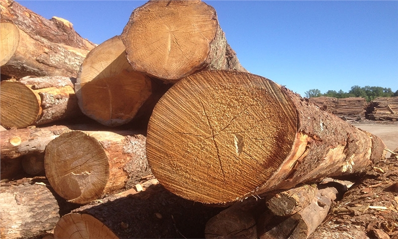 GreenFirst to spin-out Kap Corporation