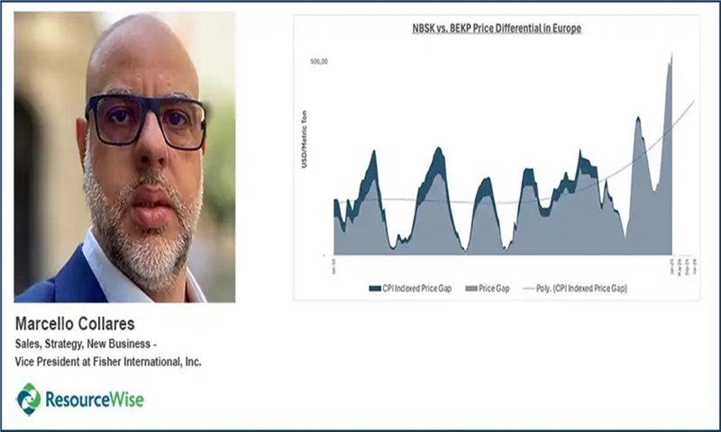 Suzano & SCA Price Hikes: Market Dynamics and Long-Term Risks