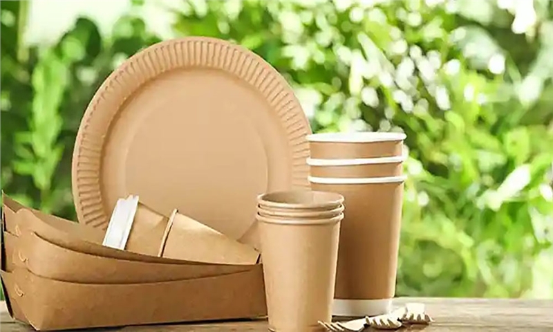 Compostable Paper: Terms, Innovations, and Challenges