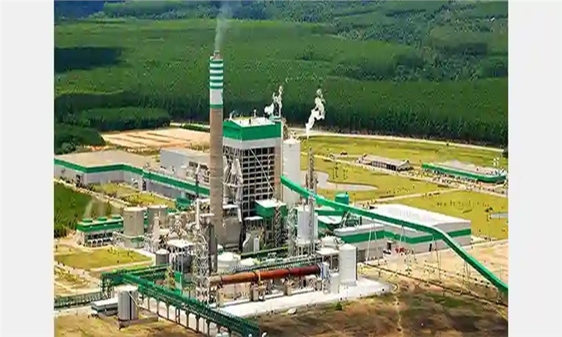 Veracel Marks 20 Years of Sustainable Pulp Production