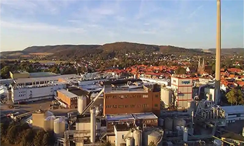 Sappi Considers Closures at Its Mill in Germany