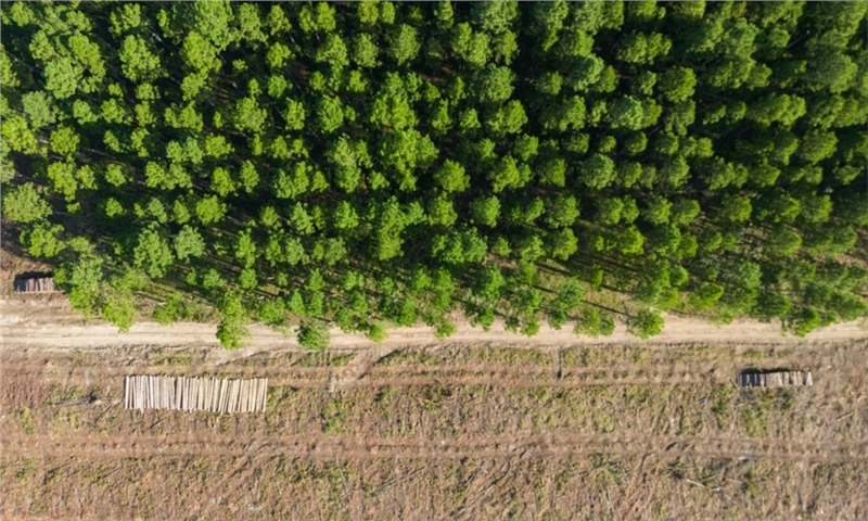New risk classification: What paper producers need to know now