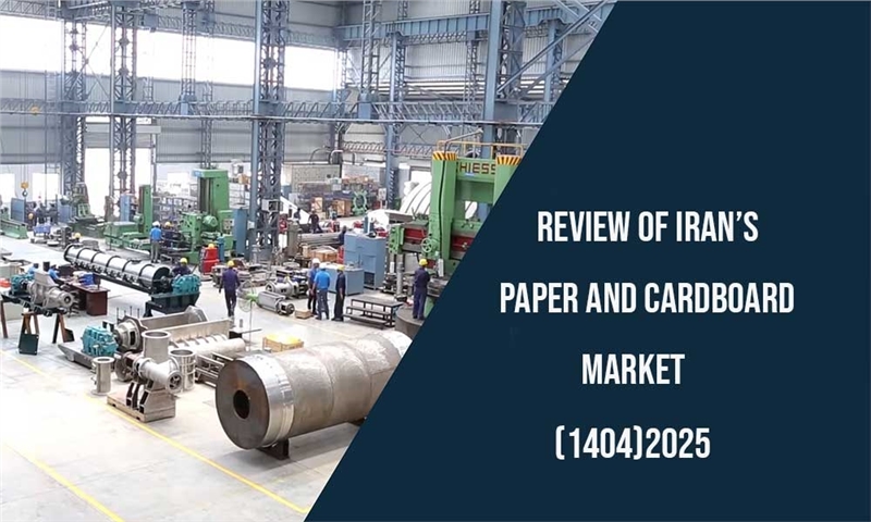Review of Iran’s Paper and Cardboard Market in 2025 (1404)