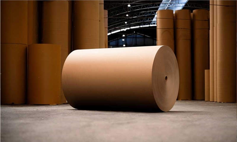 An Overview of Kraft Paper Production at Latin Paper Industries, Gujarat