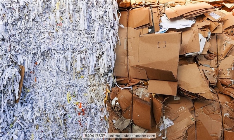 Recovered paper prices in Germany ease only slightly in August