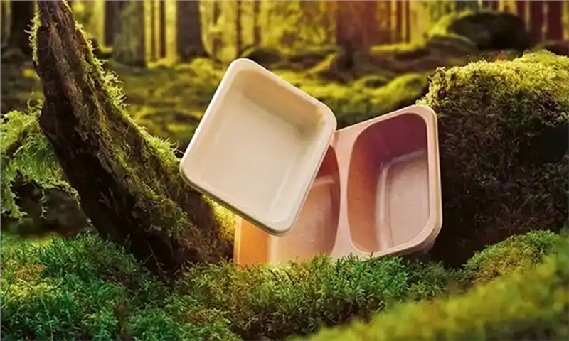 Rottneros Navigates Market Challenges with Strategic Focus