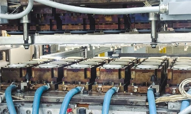 HZ Green Pulp enters full-scale production