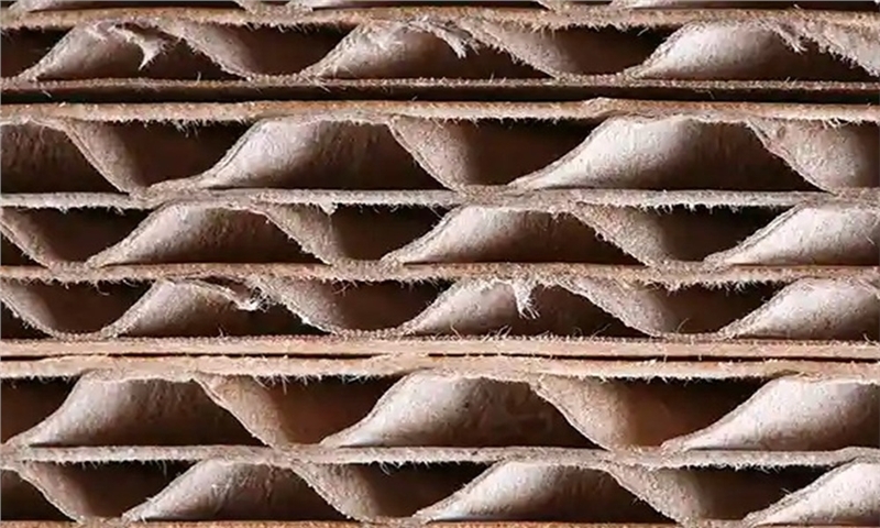 Palm Expands Packaging Division with Czech Joint Venture