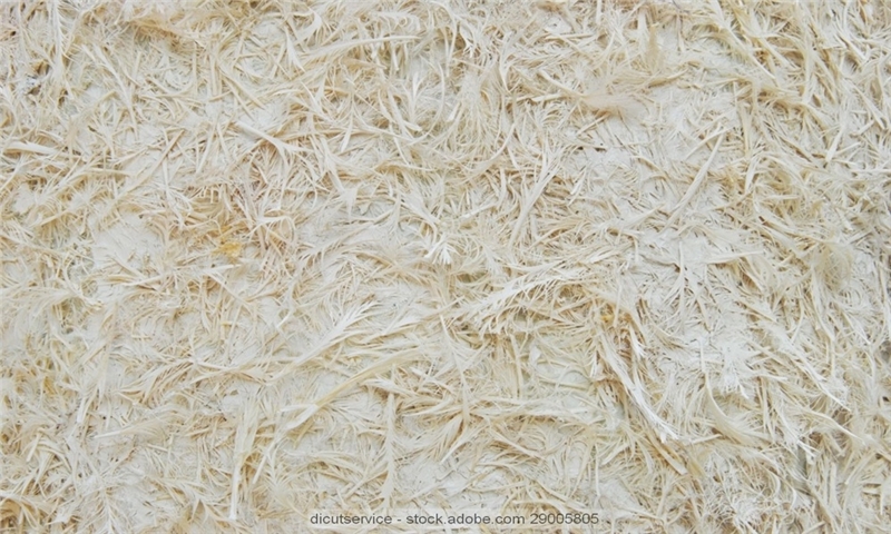 VKG Fiber makes progress with plans for new pulp mill in Estonia and starts partner search