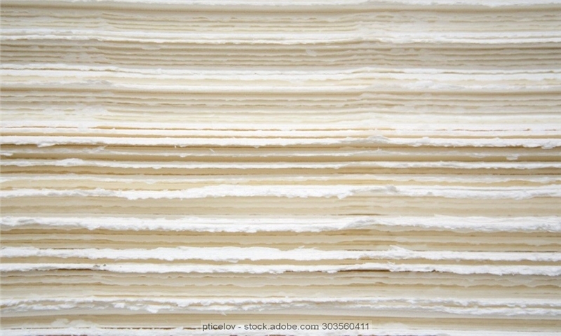 Hardwood pulp prices rise due to tight availability, diverging trend for NBSK