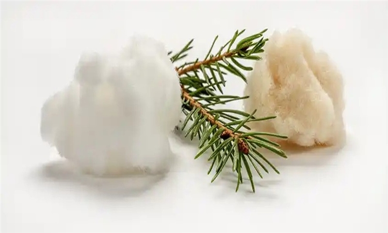 Stora Enso boosts fluff pulp, closes softwood line