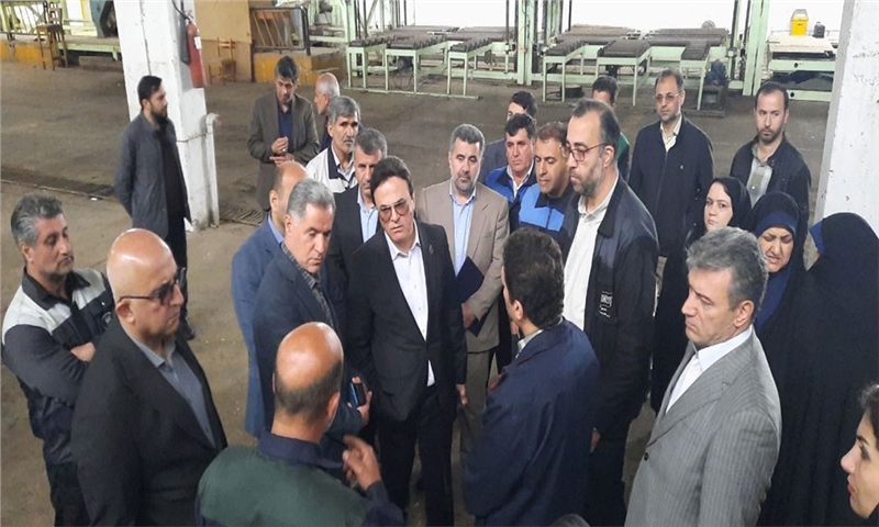 تصمیمات اشتباه سبب تعطیلی صنایع چوب اسالم شد