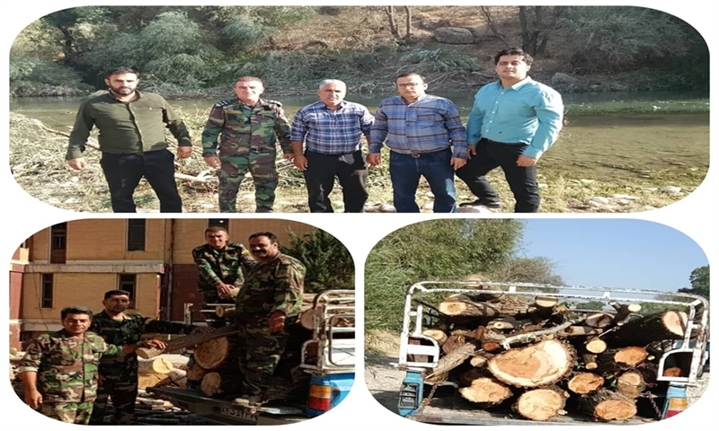 دستگیری متخلفان قطع درختان بید در مزدک بویراحمد