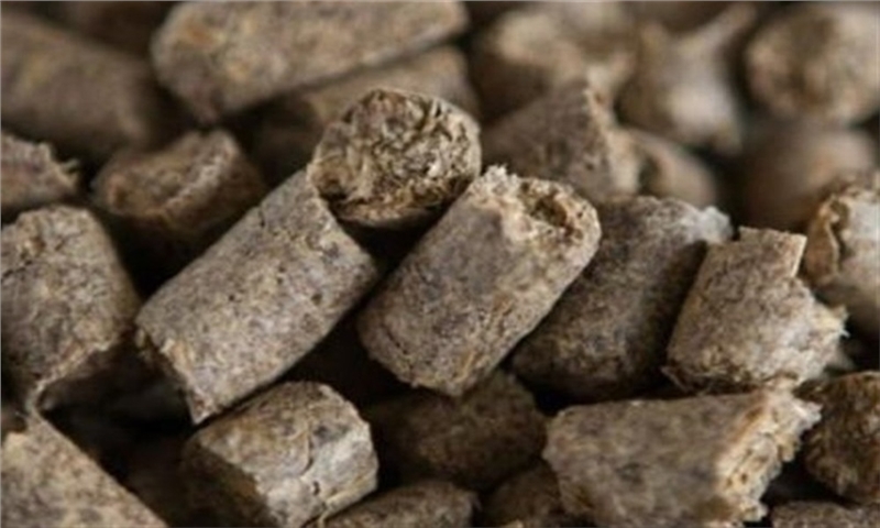 آغاز مطالعات توسعه زنجیره ارزش باگاس نیشکر در خوزستان