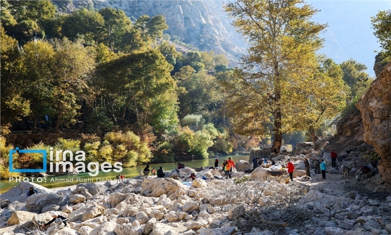 سند پیش‌نویس جنگل‌داری اجتماعی؛ راهکاری پایدار برای حفظ جنگل‌های زاگرس